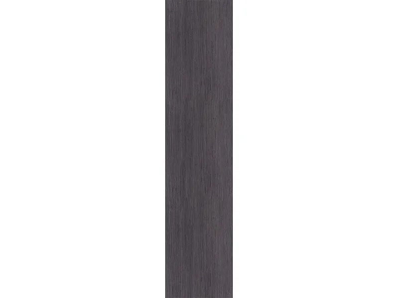 1 Tür EVOLUTION