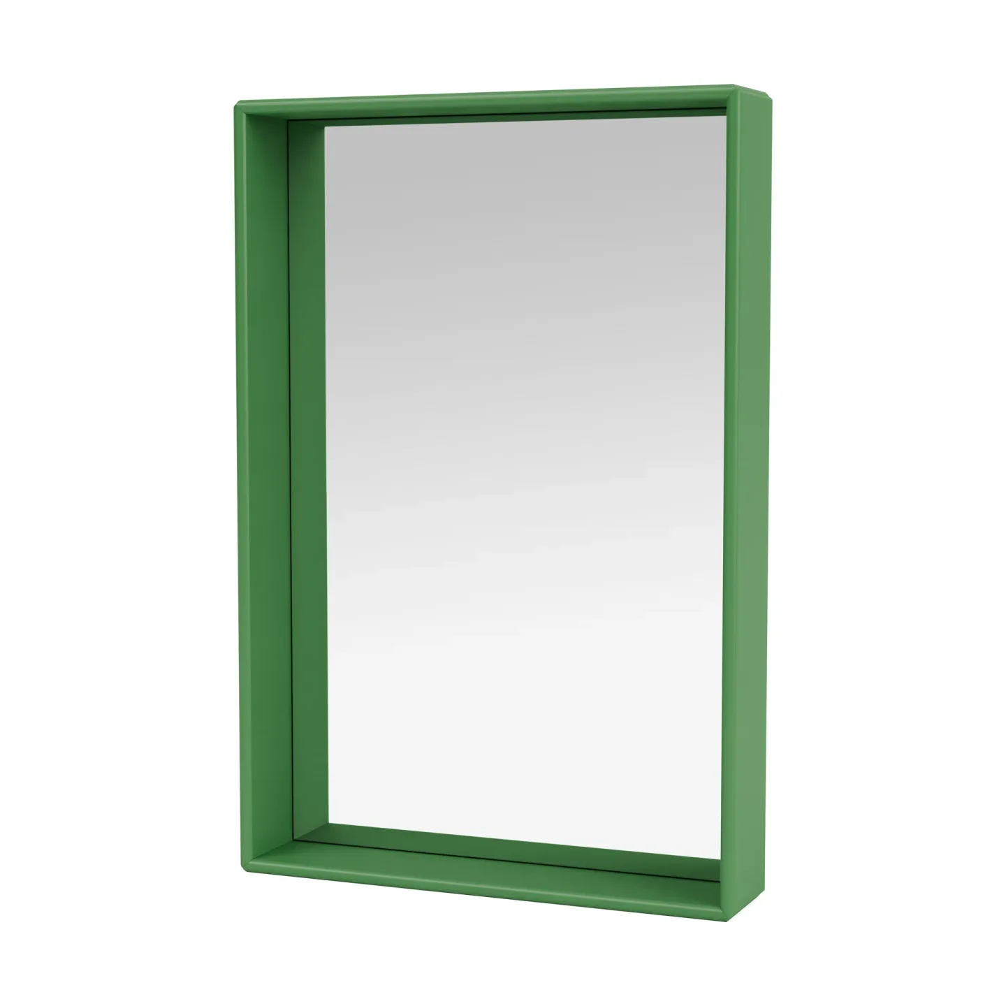 Montana Shelfie colour frame Spiegel 46,8x69,6 cm Parsley