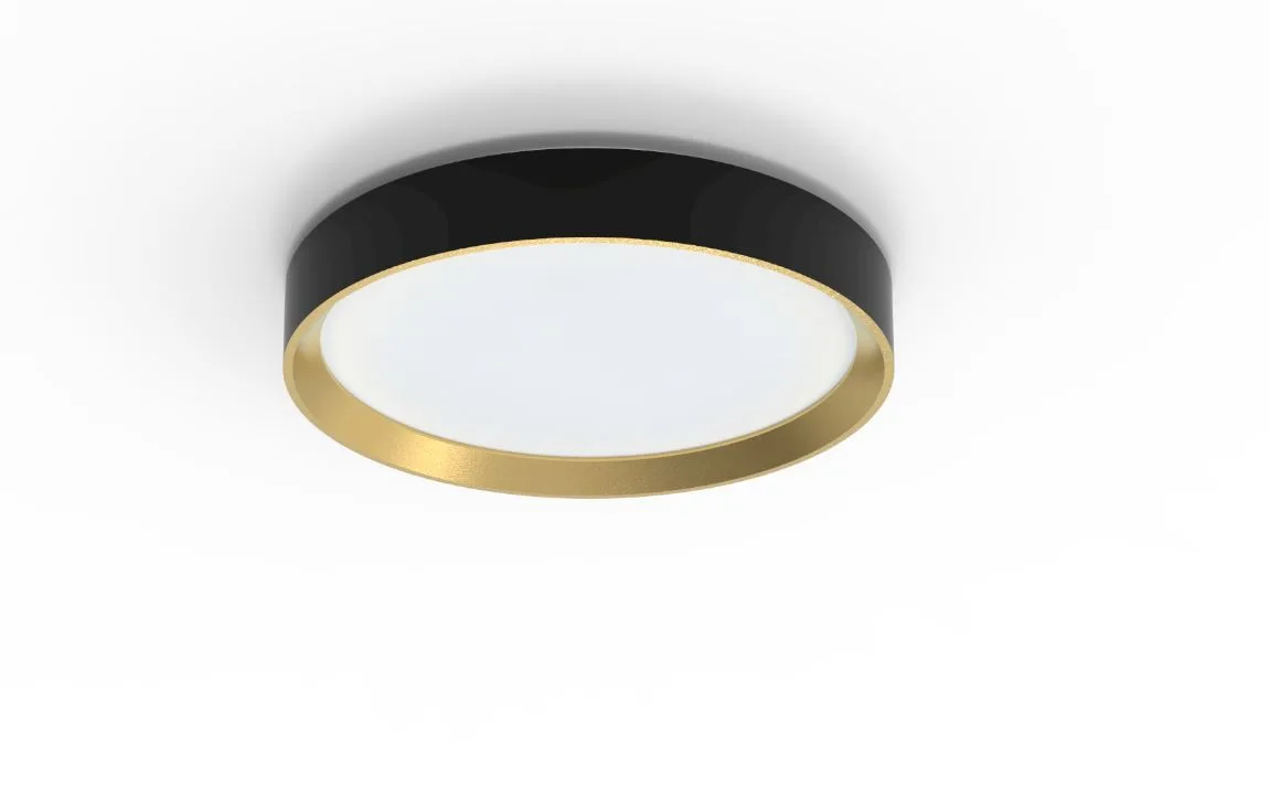 Philips - Hanno Ø38 - Takplafond - Svart