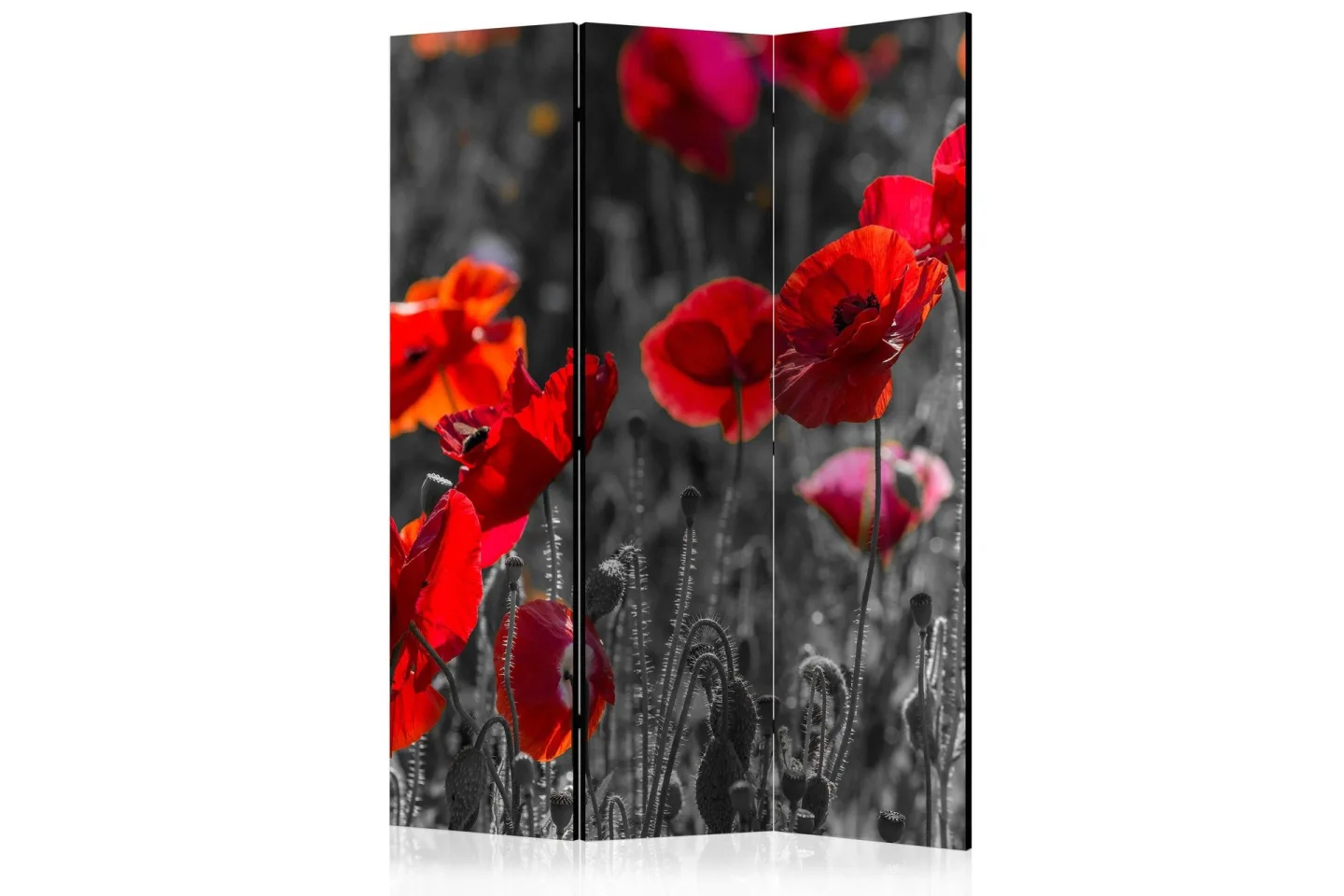 Kadira Rumsavdelare 135x172 cm -