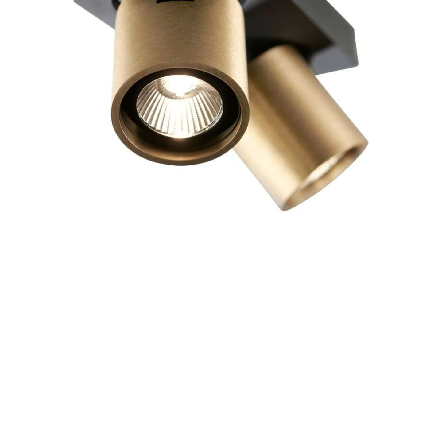 Focus 2 LED Loftlampe 3000K Brass - LIGHT-POINT - Stue - Aluminium