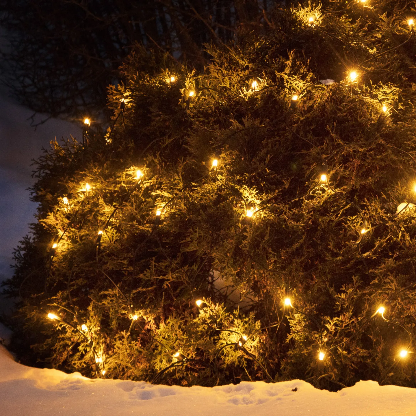 Chrissline Extra LED-ljusnät, 100 lysdioder, 2 300 K – Markslöjd Chrissline Extra Original