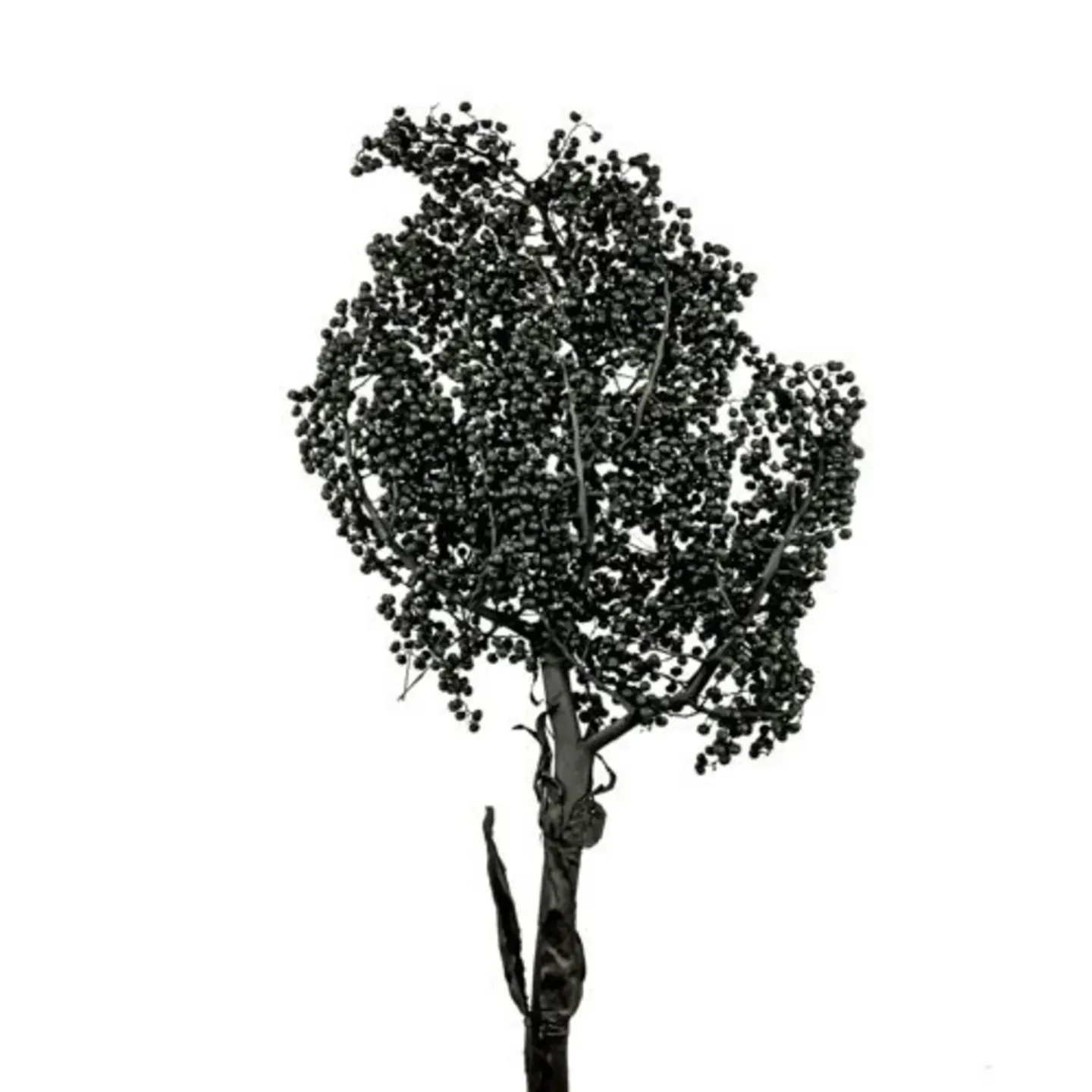 Decofinder Kunstblumen Palm, Schwarz Schwarz | Schubiger Möbel