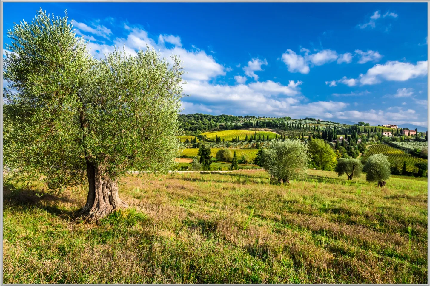 image LAND Bild mit Rahmen Hübsche Toskanische Landschaft | Schubiger Möbel