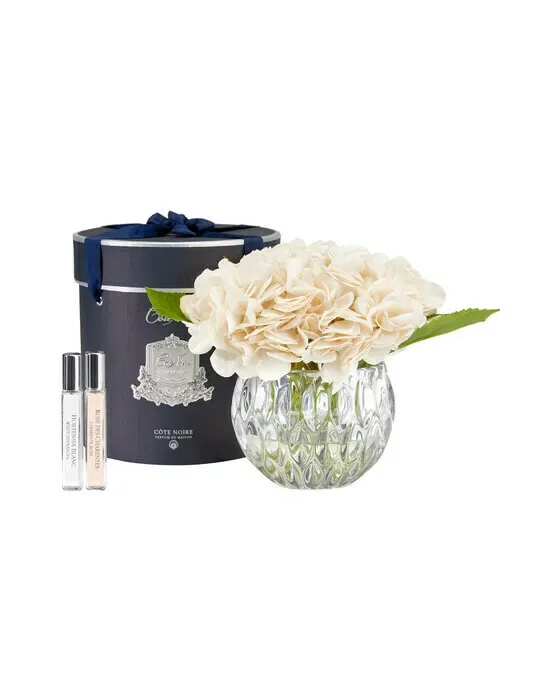 Hydrangeas gåvoset