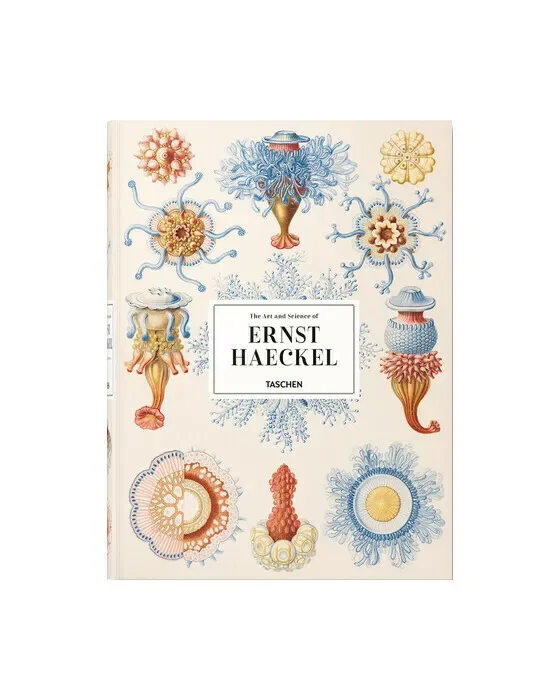 Ernst Haeckel - XXL