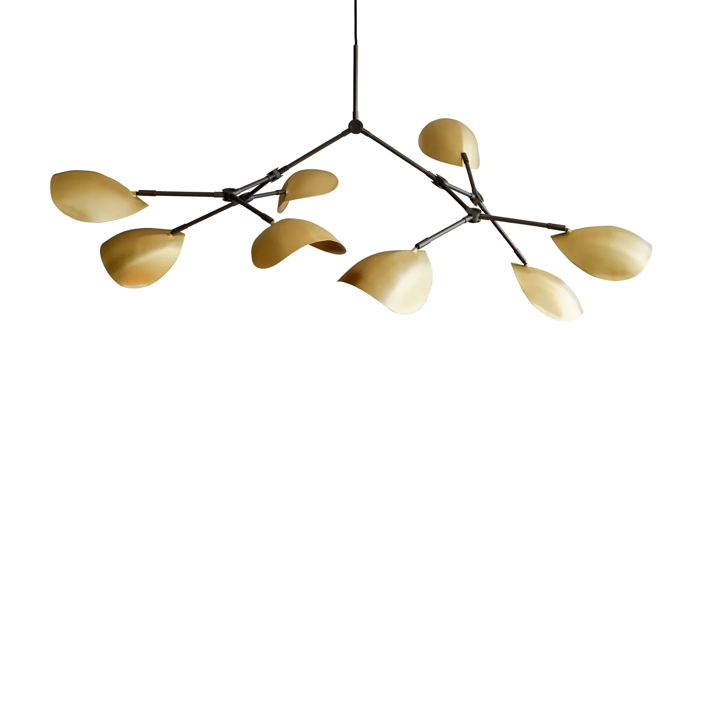 101 Copenhagen - Stingray Chandelier Brass - Takkronor - Kristian Sofus Hansen,Tommy Hyldahl - Guld