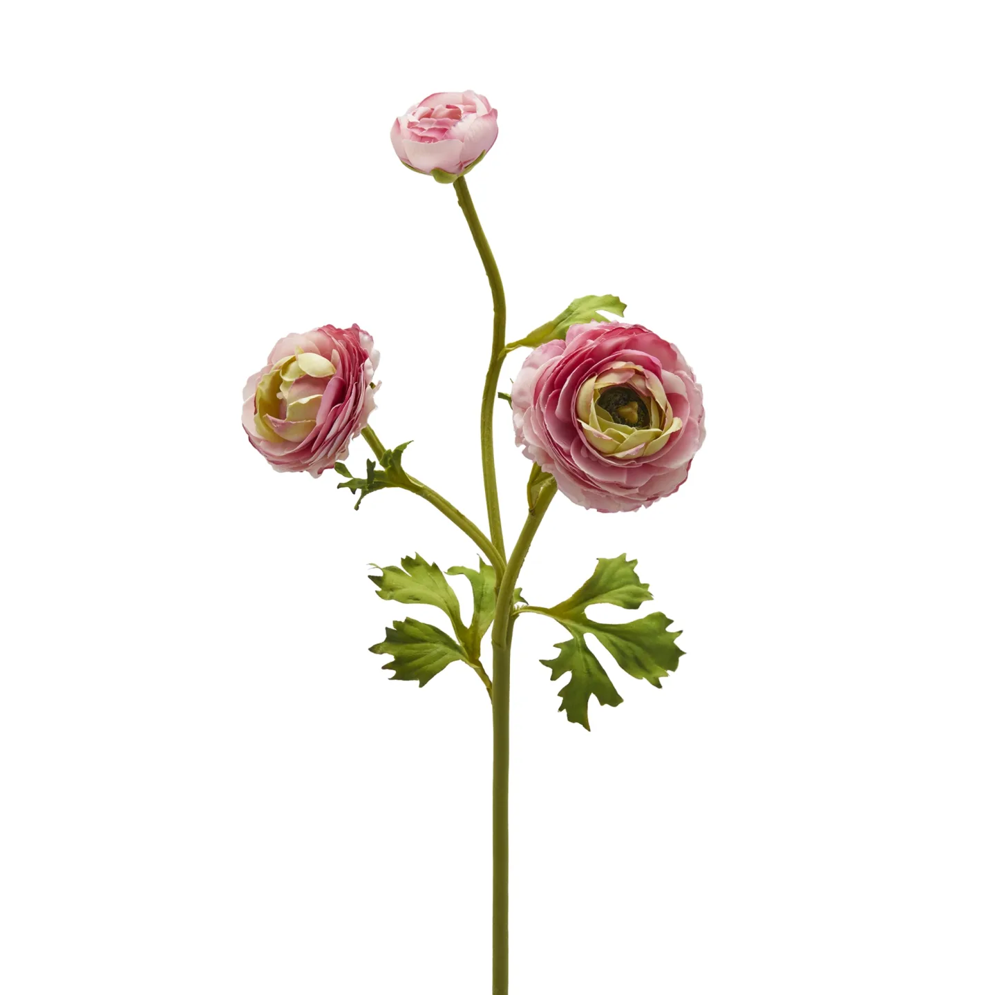 Edg Kunstblume Ranunkel H: 60 cm | Schubiger Möbel