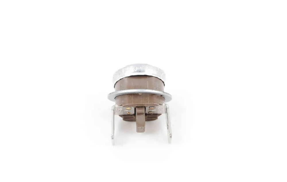 Termostat gaggia pure