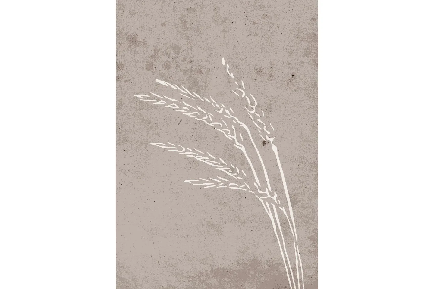 Poster Seeds 21x30 cm - Beige