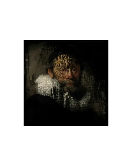 Rembrandt White
