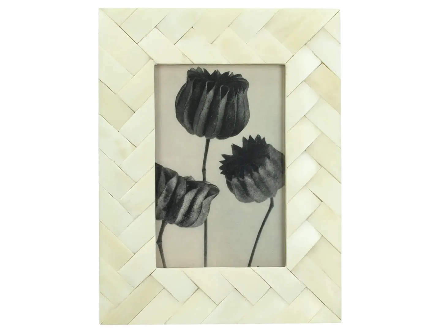 Kersten Fotorahmen Büffelknochen Creme H: 29 cm Mehrfarbig | Schubiger Möbel