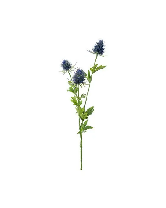 Tidsel afskåret blomst blå