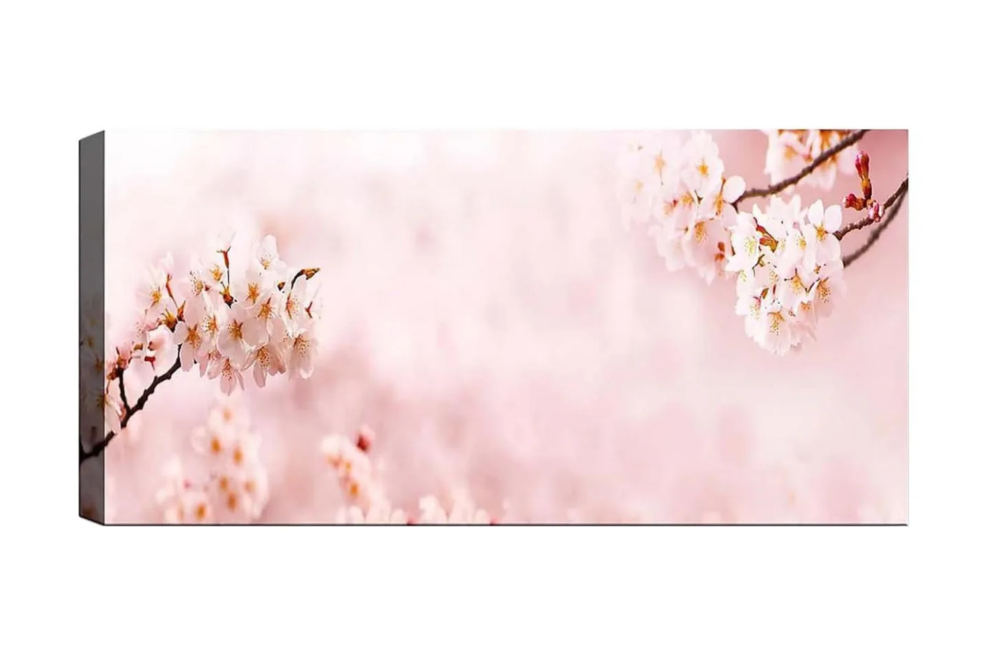 Canvastavla YTY Floral & Botanical Flerfärgad - 120x50 cm