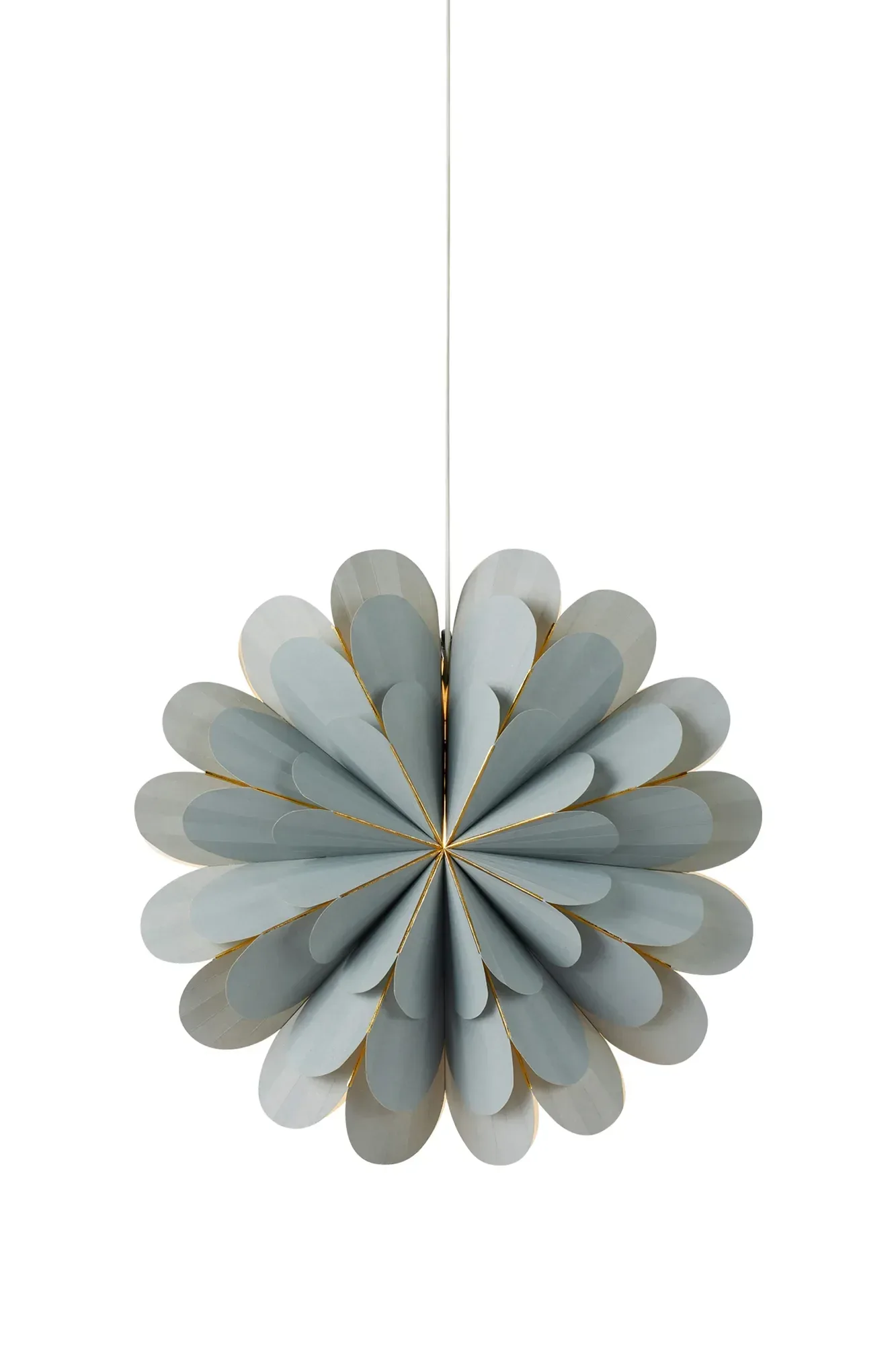 Marigold Stern Grau 45 cm