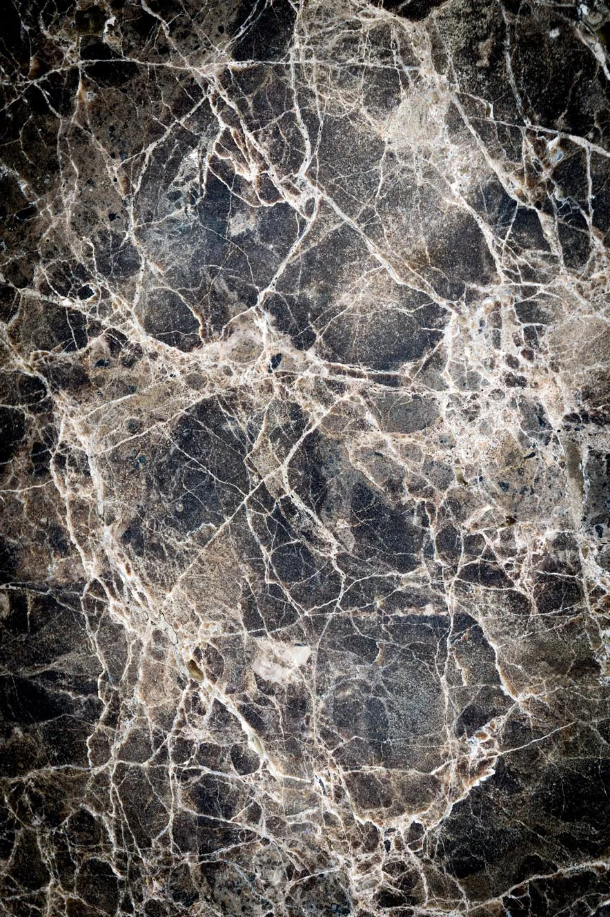Wilton-teppe - Marly (svart) (Size: 180 x 270 cm)