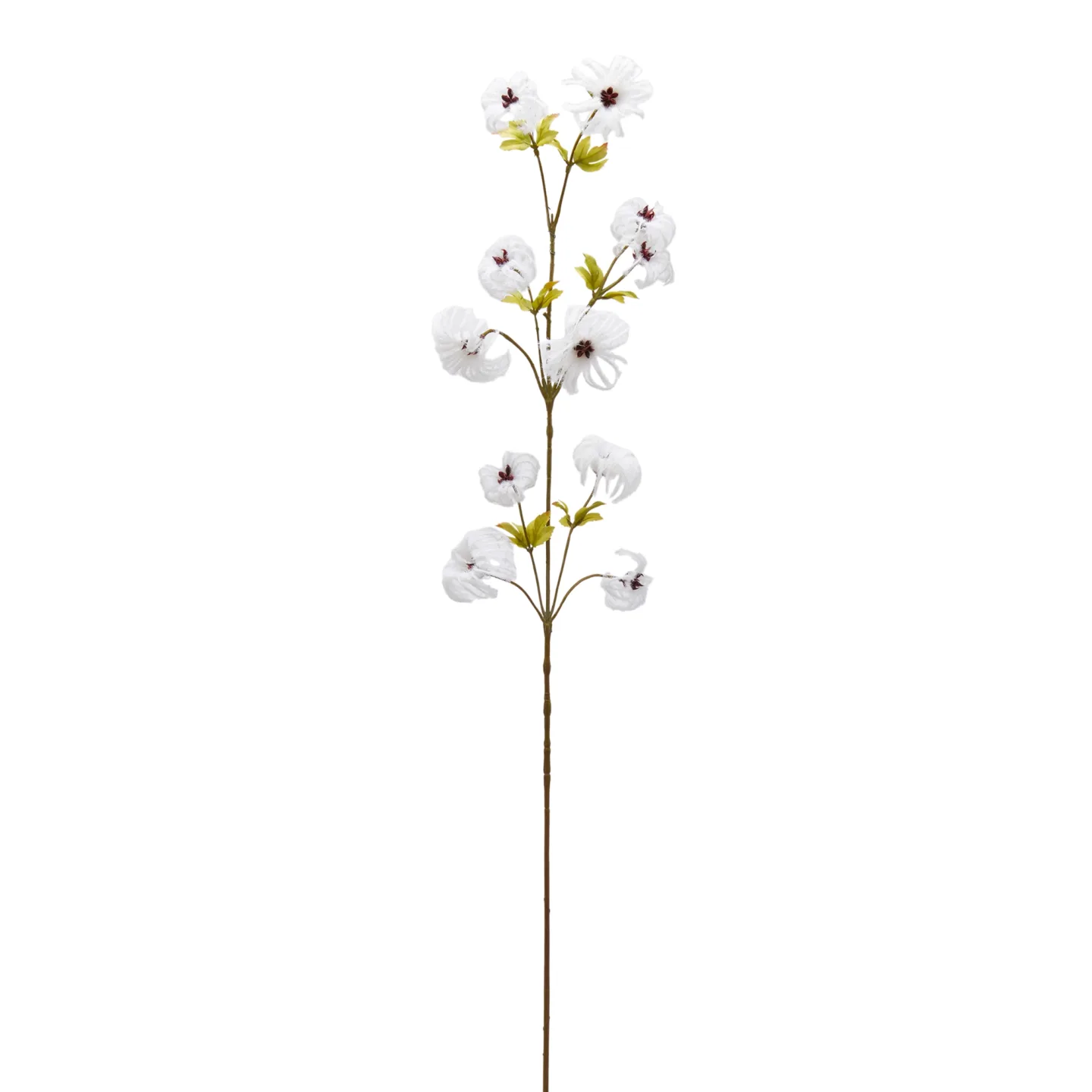 Edg Kunstblume Clematis Beige H: 107 cm | Schubiger Möbel