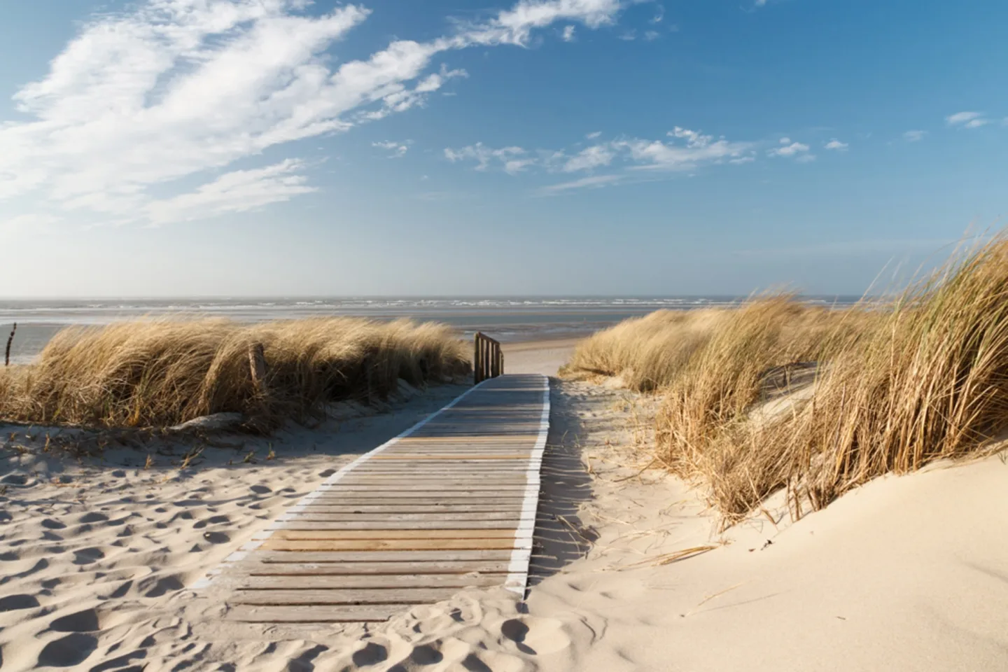 image LAND Alubild Holzweg Zum Meer 1 | Schubiger Möbel
