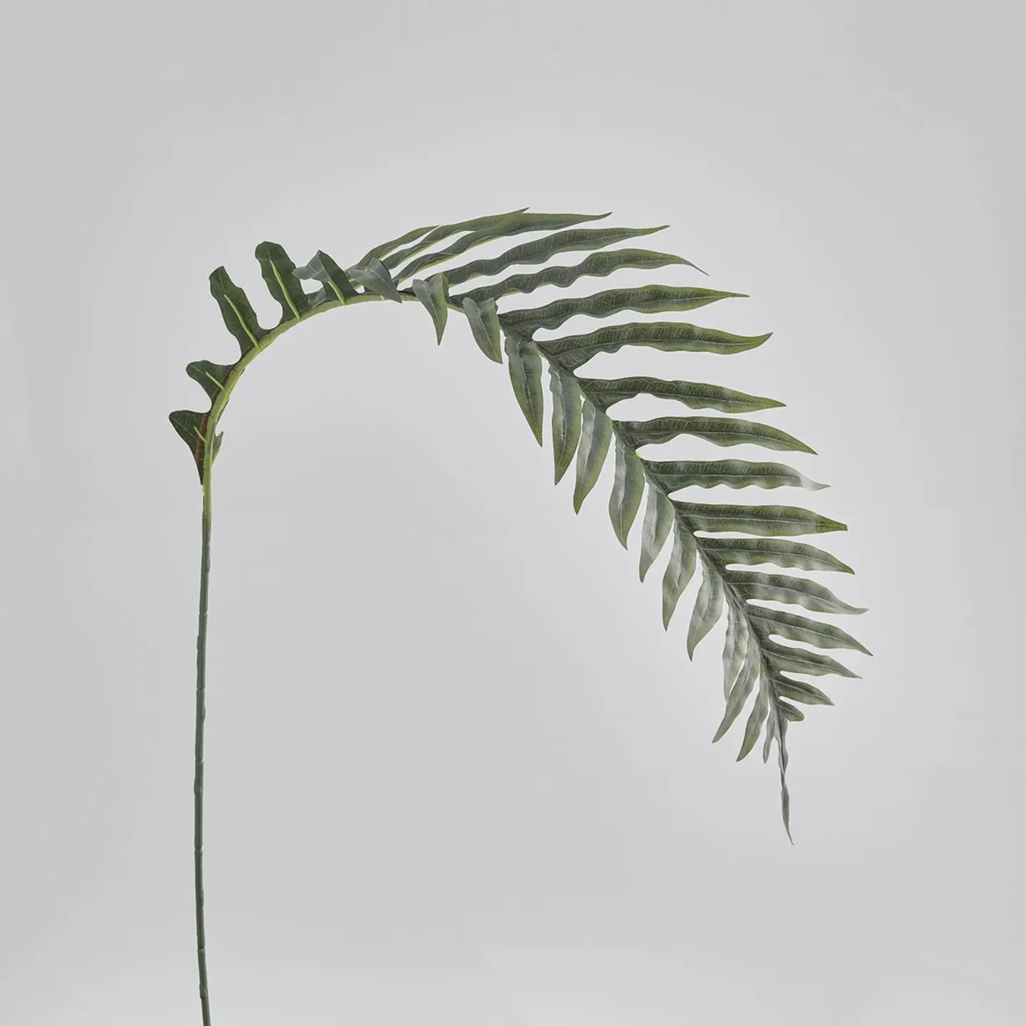 Abhika Kunstblume Palmblatt H: 145 cm | Schubiger Möbel