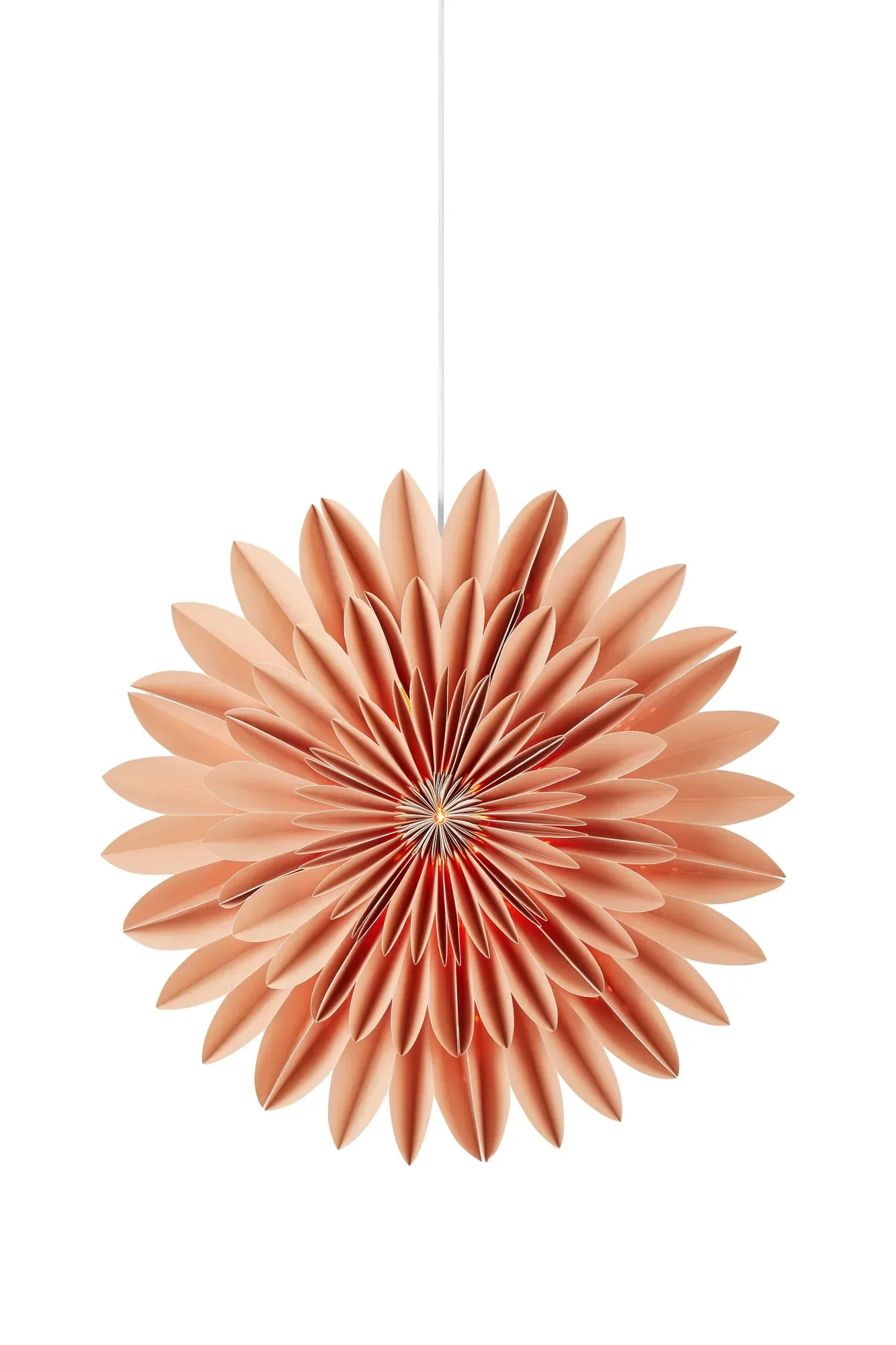 Cornelia Stern Braun 60 cm
