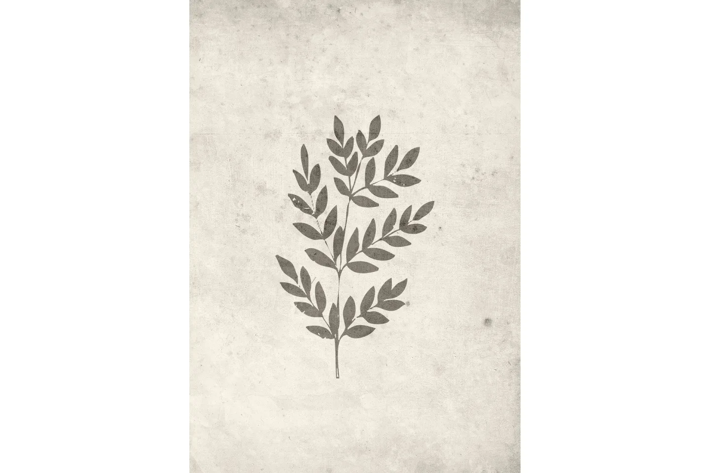 Poster Spring leaf 21x30 cm - Beige
