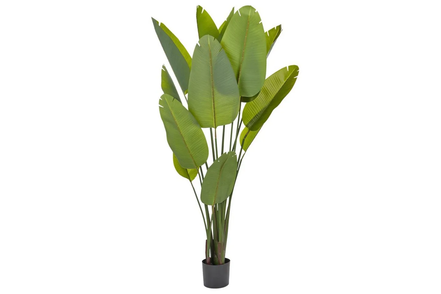 Konstgjord växt Banana Tree Grön/Svart, 115x115x187 cm - Grön/Svart, 115x115x187 cm