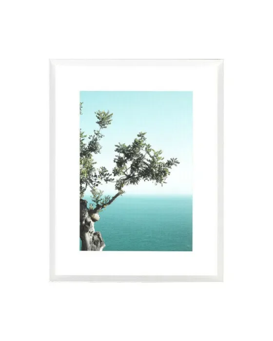 Méditerranée