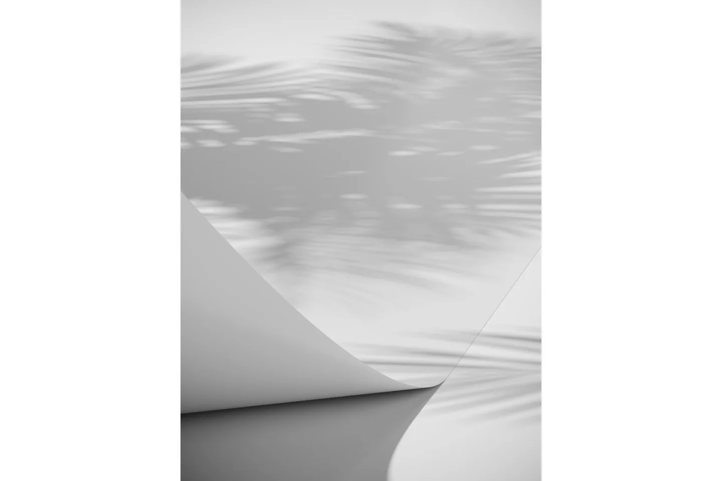 Poster Papyrus 70x100 cm - Vit