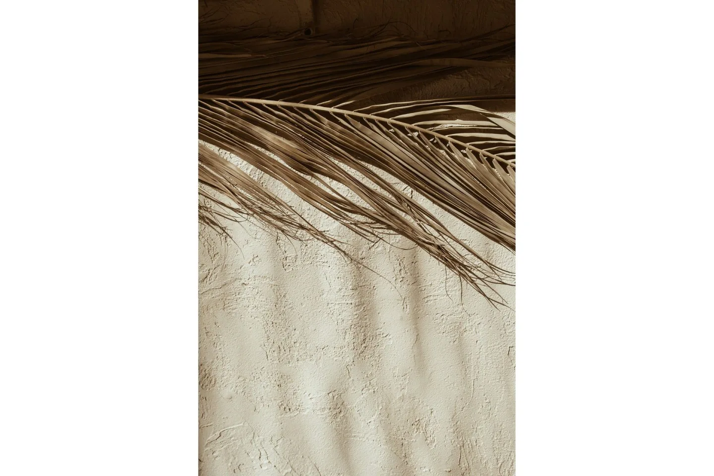 Poster Dessert 70x100 cm - Beige
