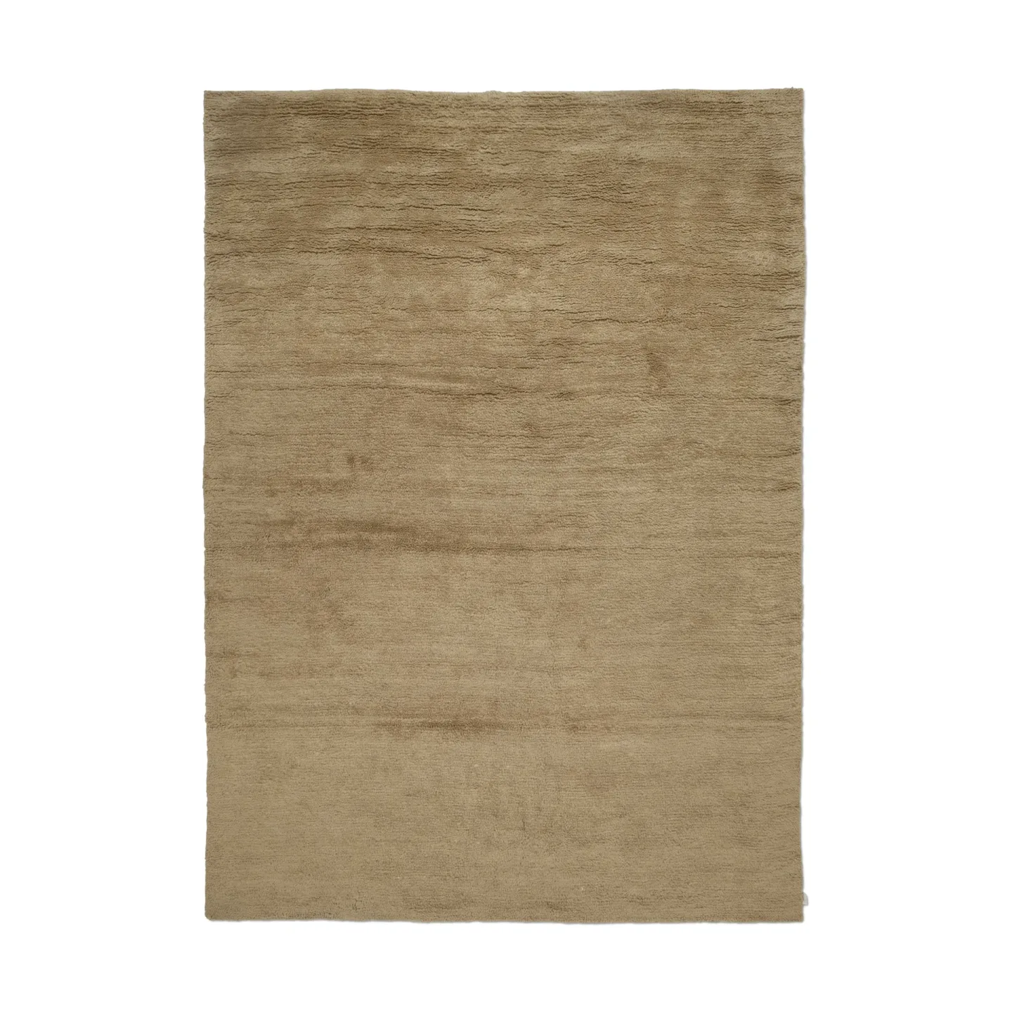 Dune matta wheat