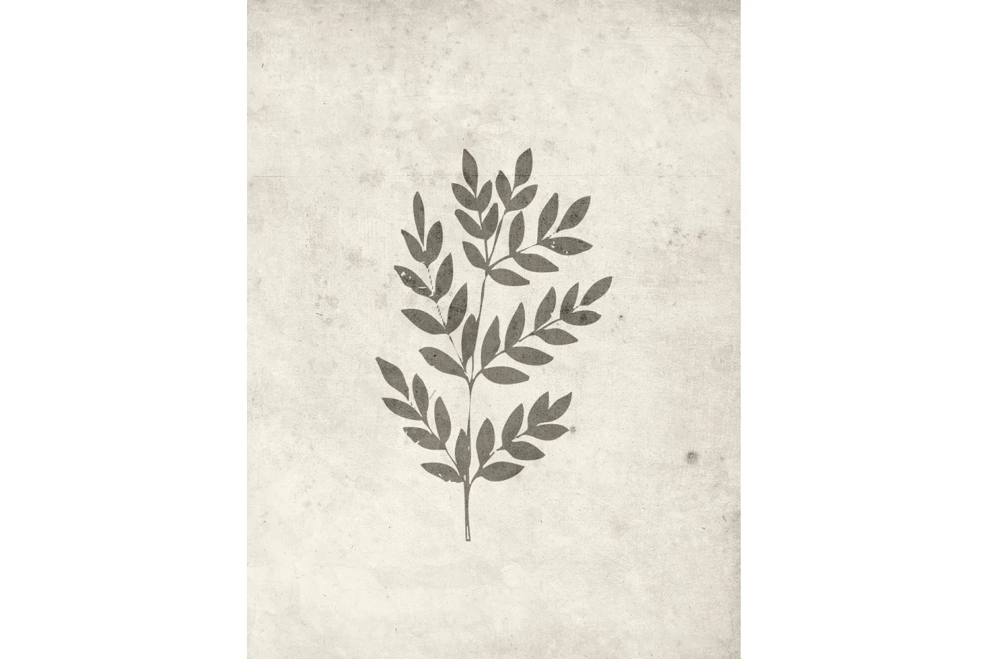 Poster Spring leaf 30x40 cm - Beige