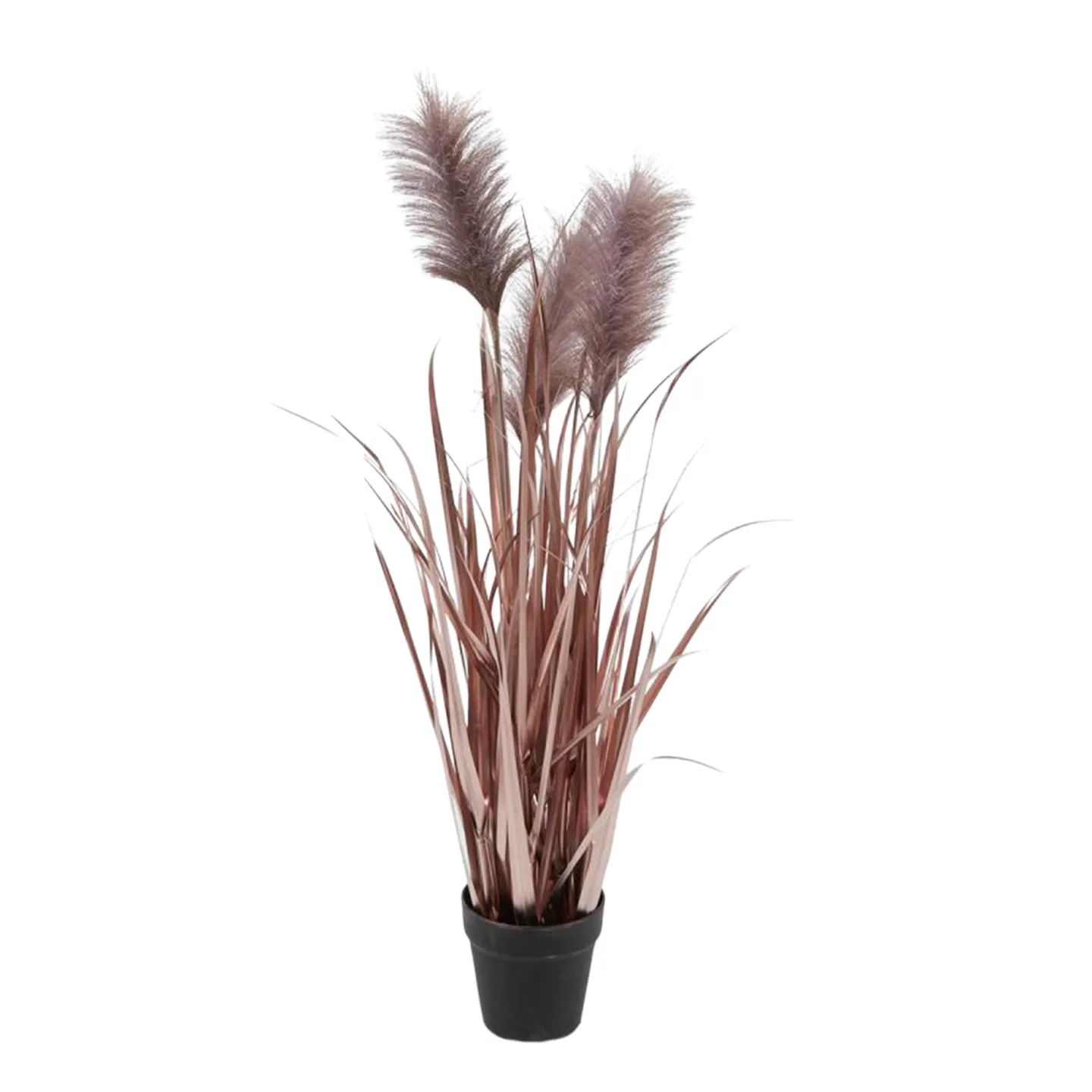 Edg Kunstpflanzen Pampasgrass Lilia H: 100 cm | Schubiger Möbel