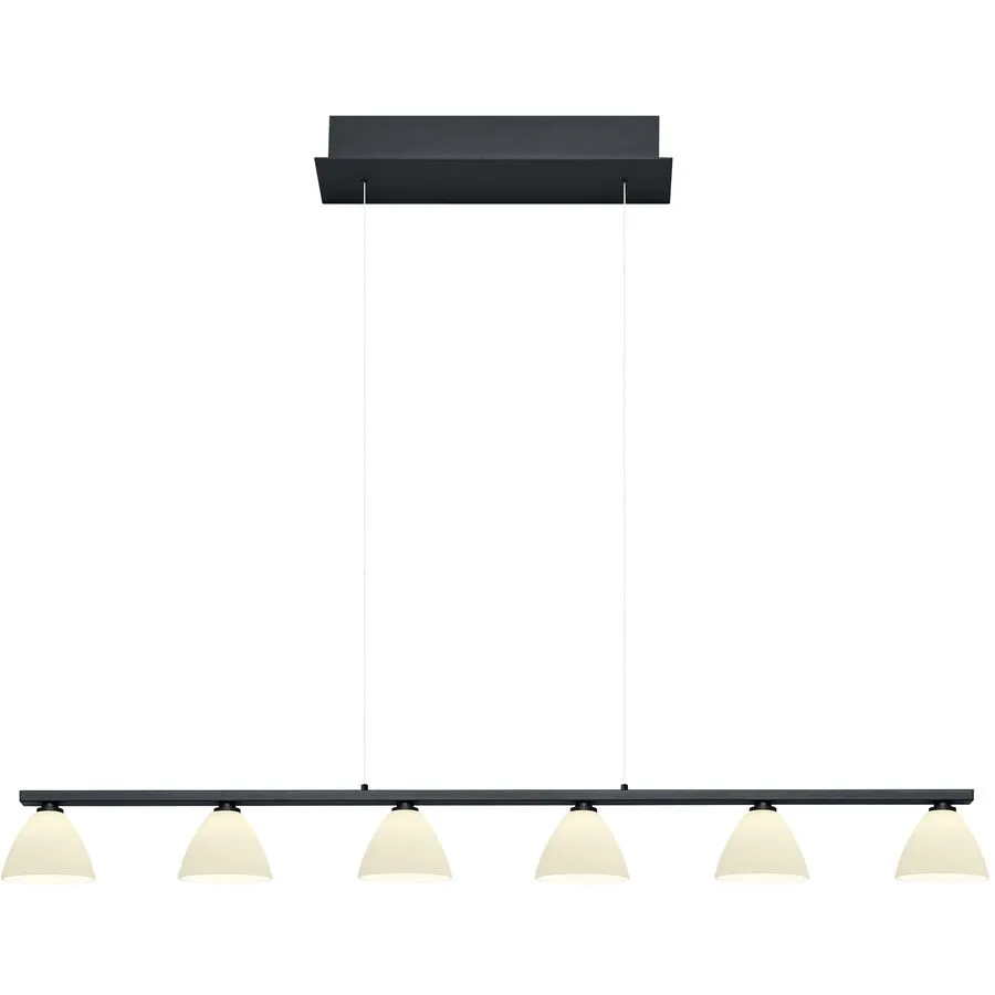 Pendellampe Emmeline Schwarz Metall 114 cm 150 cm - LED - Lichtfarbe: Extra warmweiss - LED Energiesparlampen
