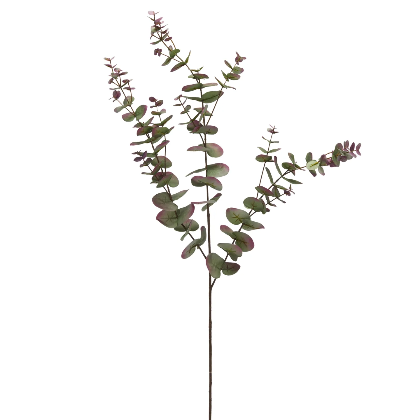 Edg Kunstblume Eukalyptus Fein Grün,rosa H: 105 cm | Schubiger Möbel
