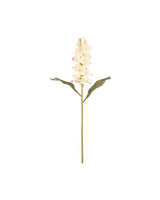 Levkøj snitblomst cream