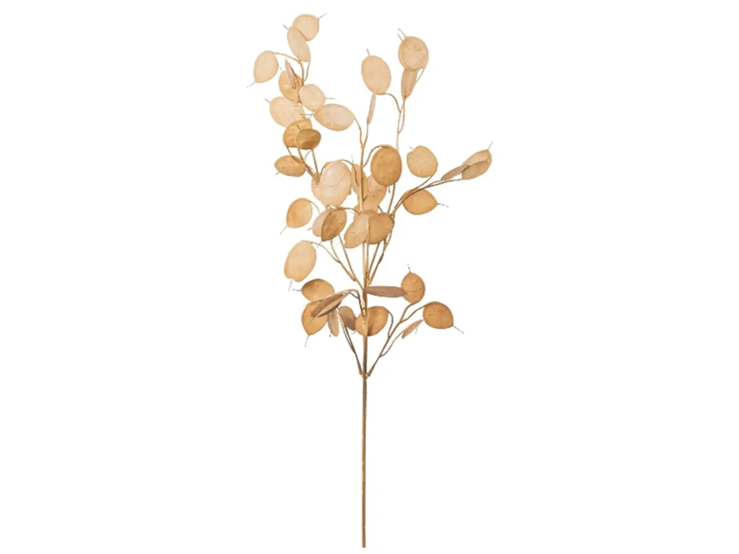 Gasper Kunstblume Pfennigblattzweig Braun H: 76 cm | Schubiger Möbel