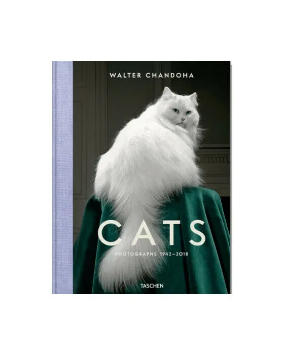 Cats - Photographs 1942–2018