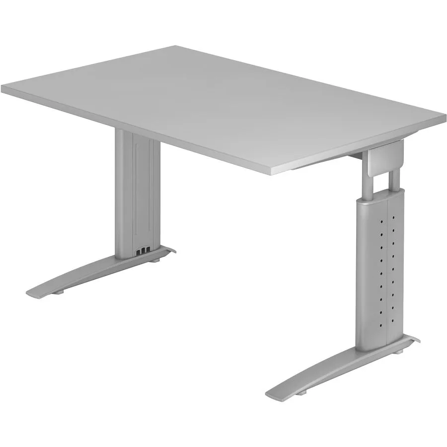 Schreibtisch Office grau Holzwerkstoff B 120 T 80 cm