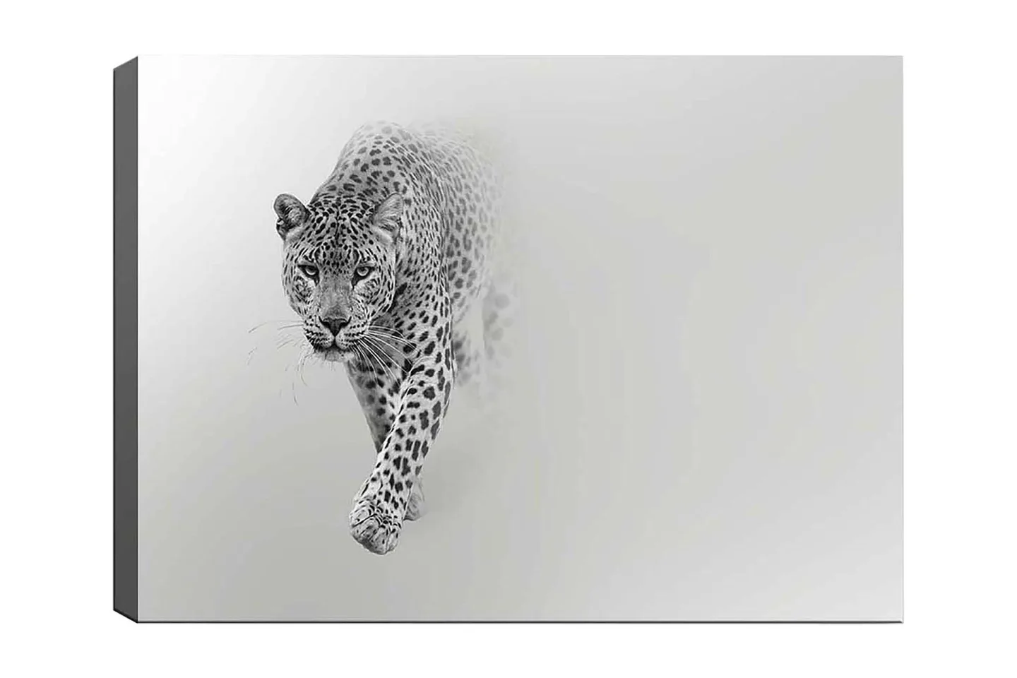 Canvastavla 70x100 cm - Majestätisk leopard som rör sig framåt i en stilren och minimalistisk komposition - Svart / Grå