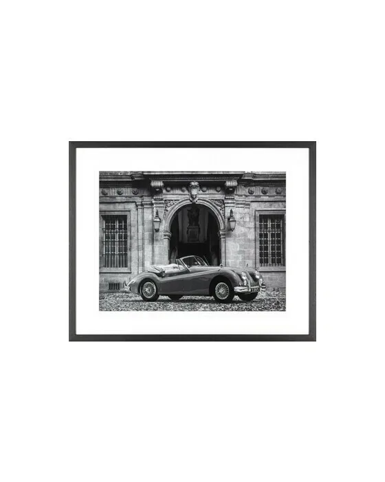 Luxury Car in front of a Classic Palace