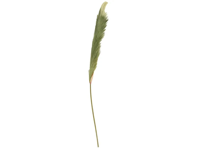 Pampas LIANA Grün