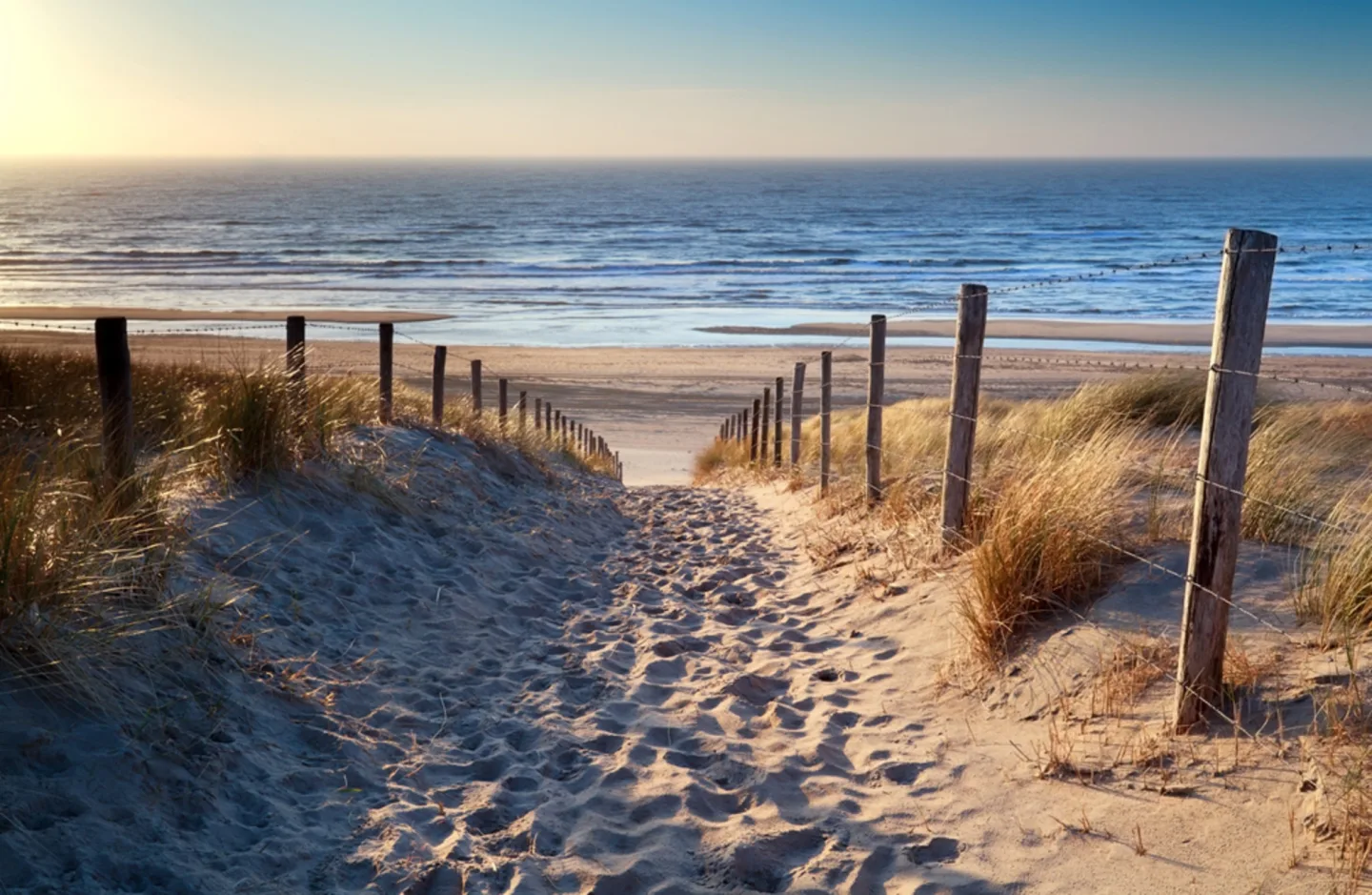 image LAND Alubild Sandweg Zum Meer | Schubiger Möbel