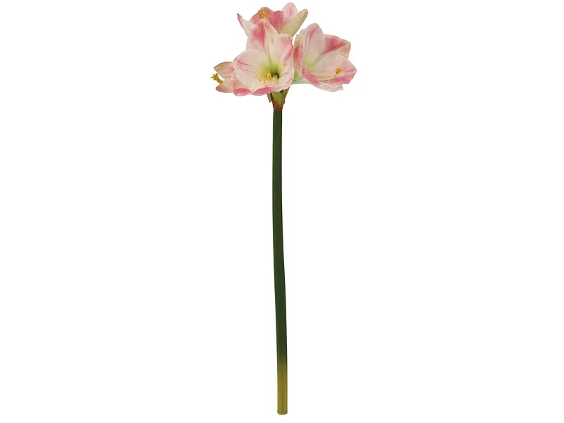 Kunstblume RASHA