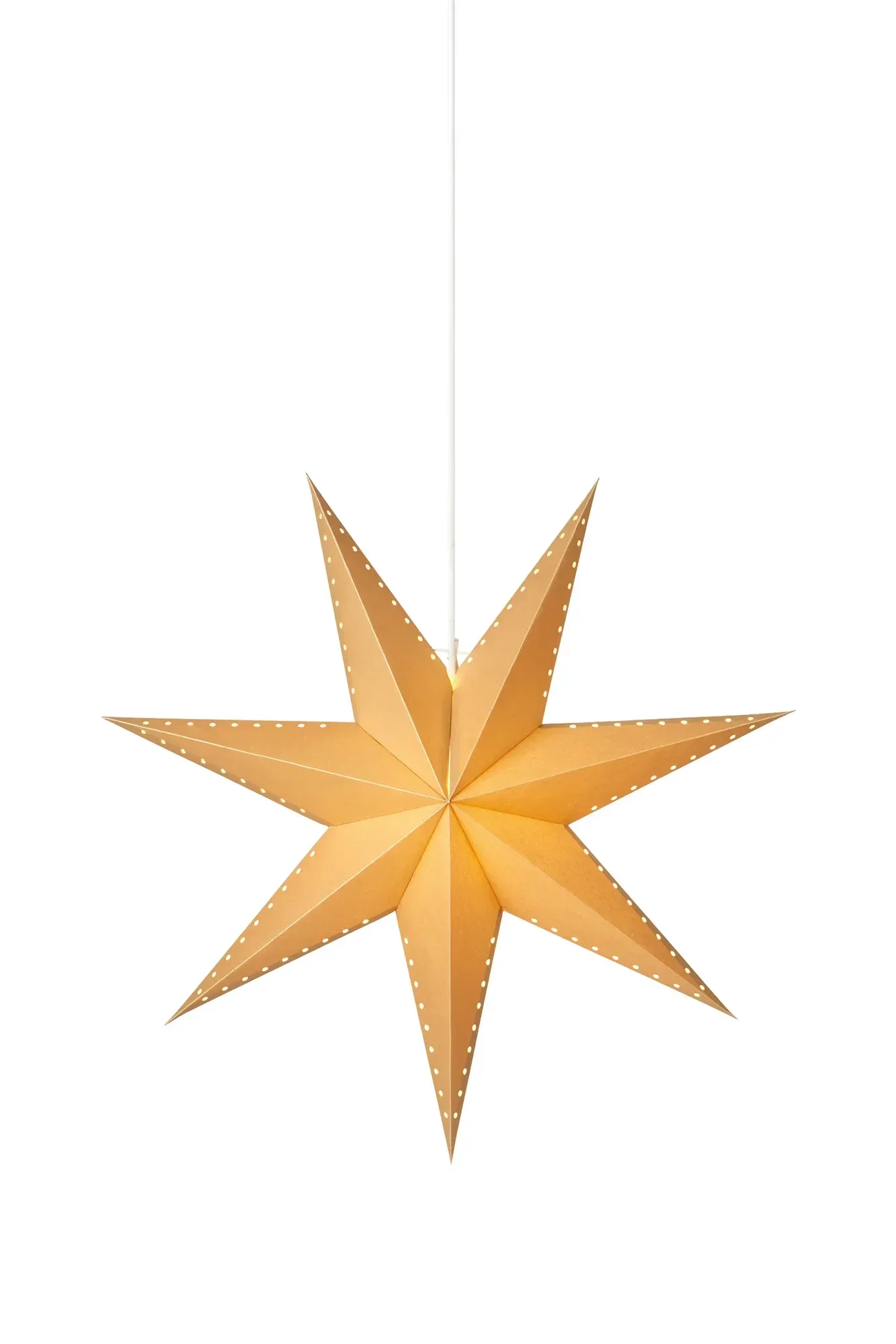 Lively Stern Gold 60 cm