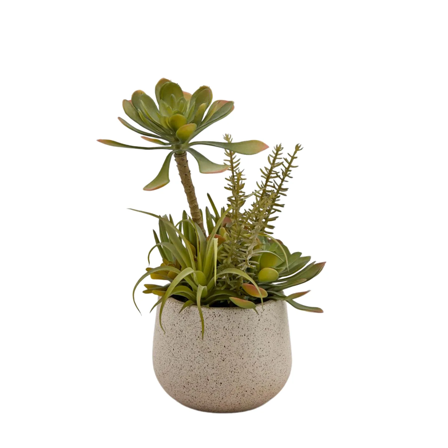 Edg Kunstpflanze Succulenten Mix H: 30 cm | Schubiger Möbel