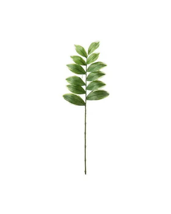 Bladkvist snittblomma grön