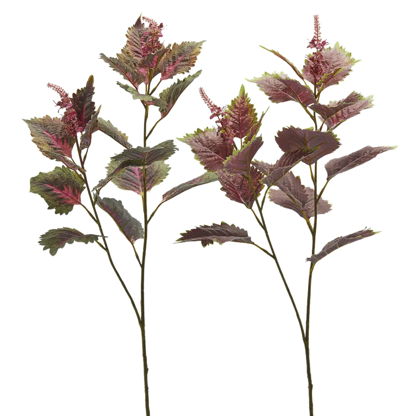 Edg Kunstblumen Buntnessel Ass.grün Rosa H: 85 cm | Schubiger Möbel