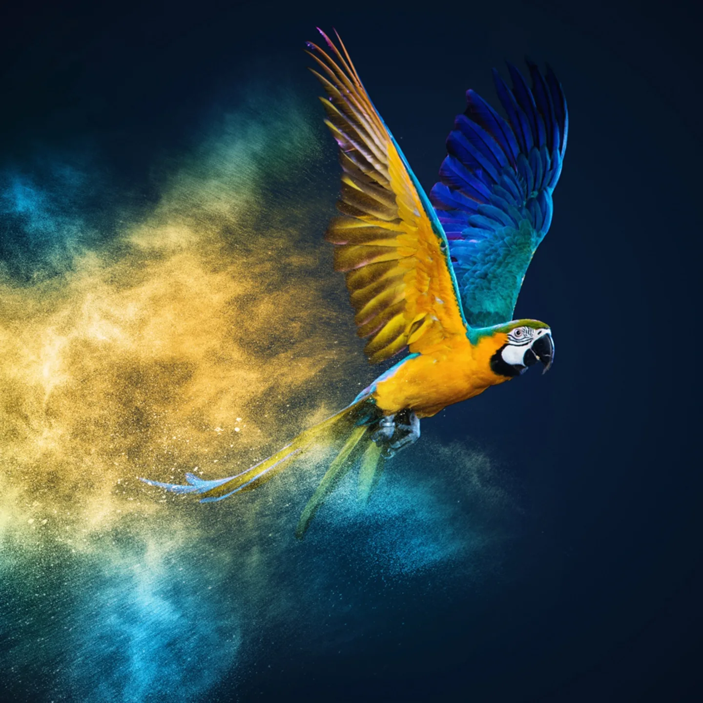 image LAND Alubild Fliegender Papagei | Schubiger Möbel