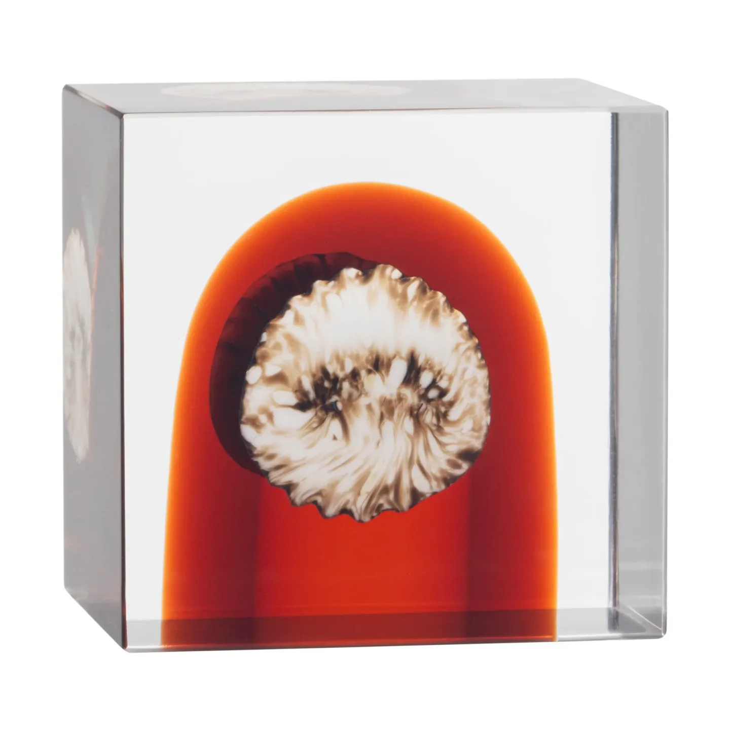 Iittala Iittala Jahreswürfel 2026