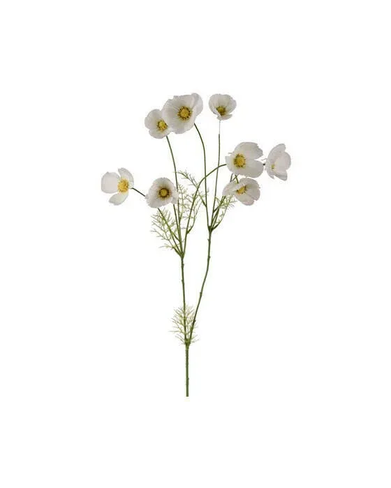 Rosenskær snitblomst hvid
